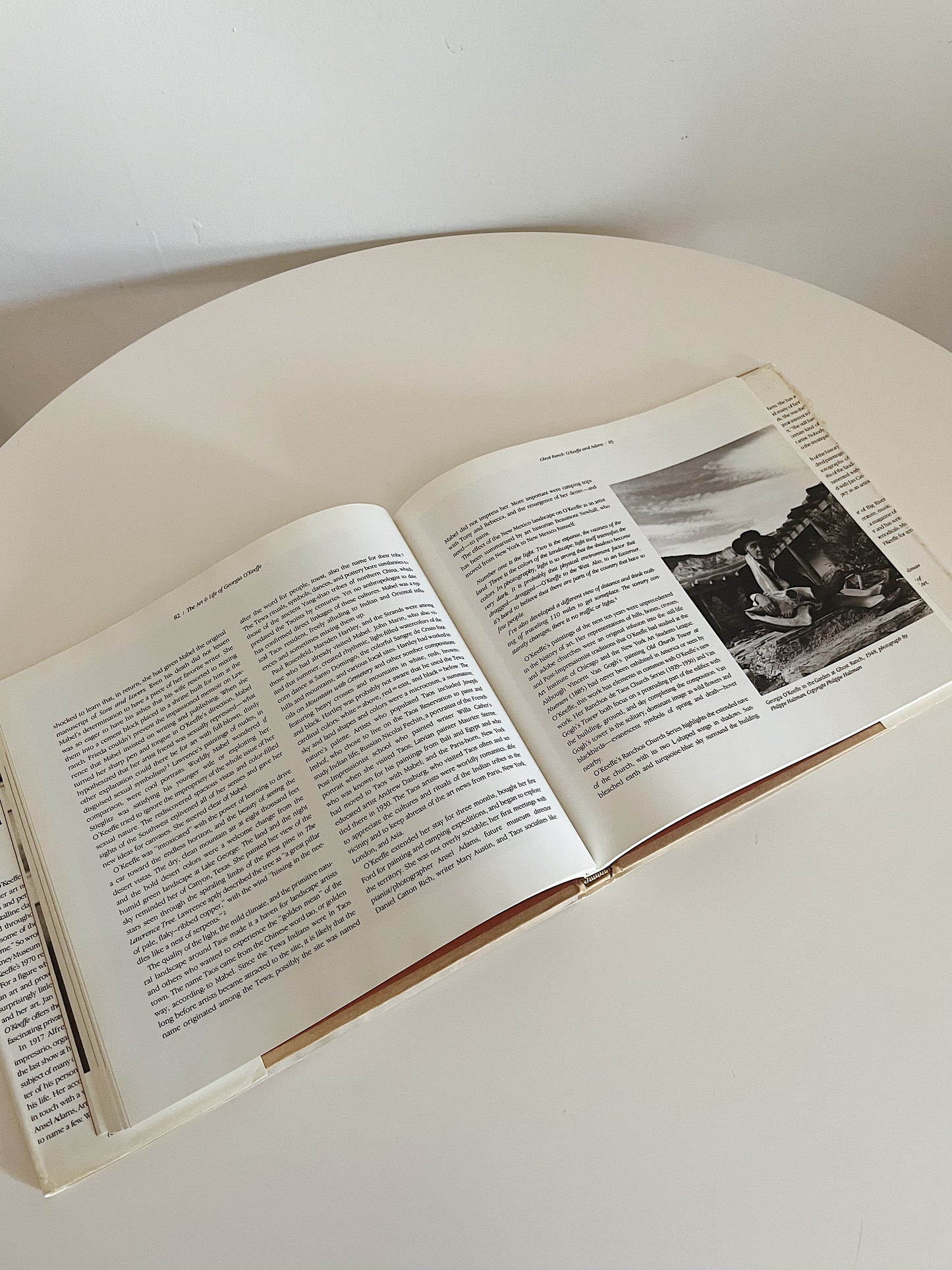 THE ART AND LIFE OF GEORGIA O'KEEFFE