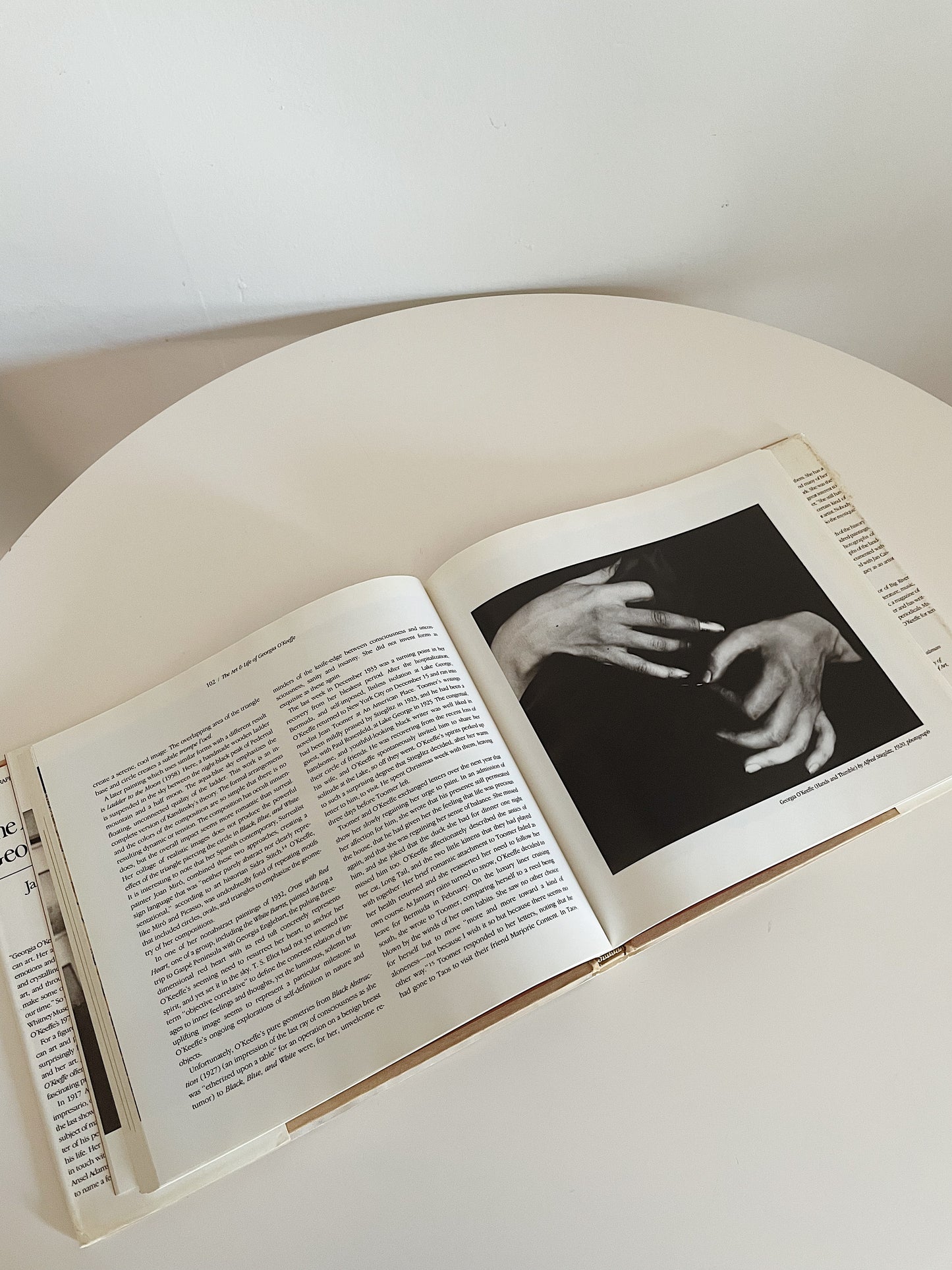 THE ART AND LIFE OF GEORGIA O'KEEFFE