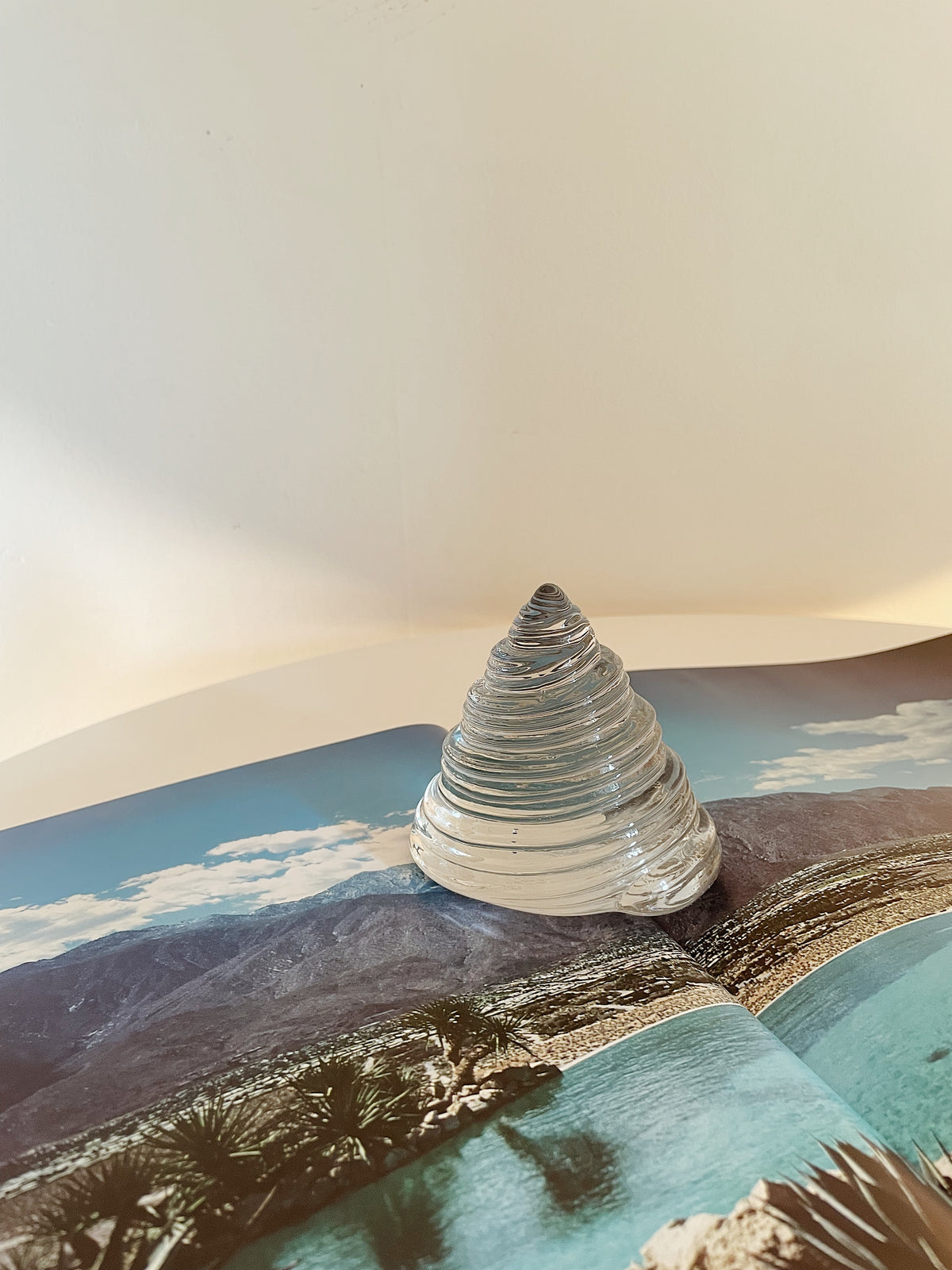 GLASS SHELL SCULPTURE