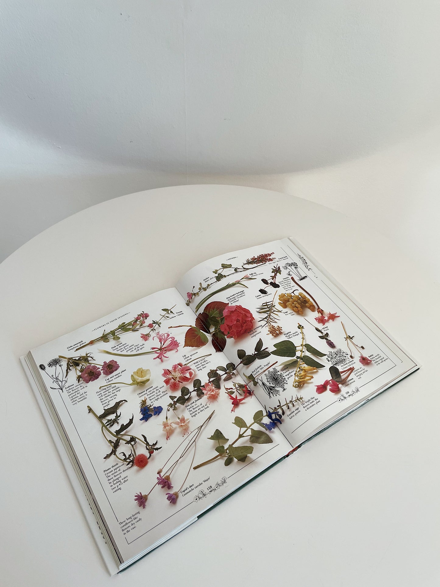 THE BOOK OF FRESH FLOWERS: A COMPLETE GUIDE TO SELECTING & ARRANGING