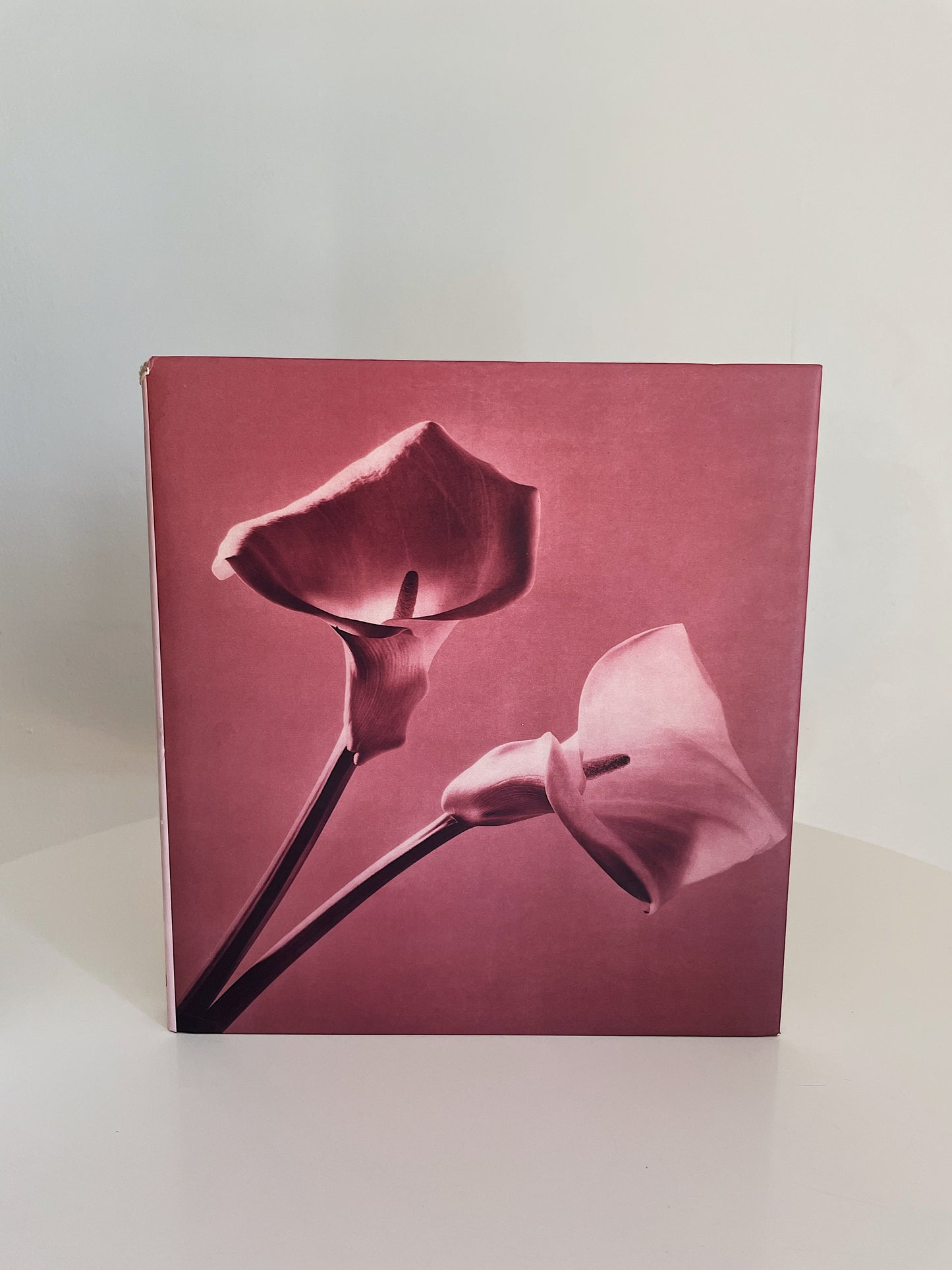 PISTILS BY ROBERT MAPPLETHORPE