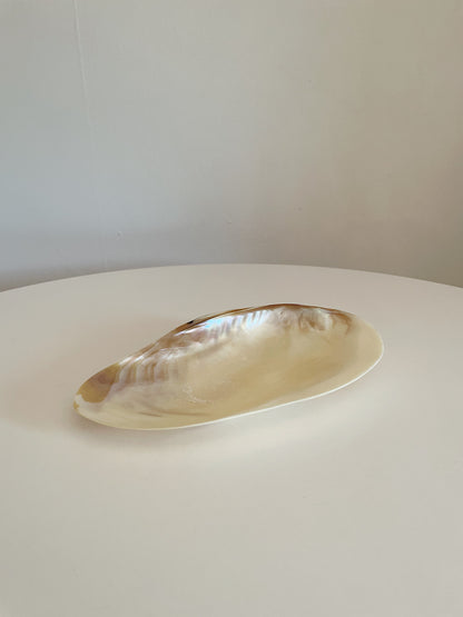 MOTHER OF PEARL SHELL DISH