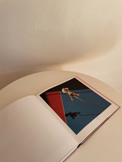 PISTILS BY ROBERT MAPPLETHORPE