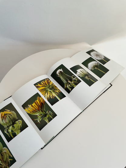 METAMORPHOSIS OF FLOWERS