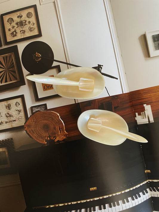 MOTHER OF PEARL SALT DISH WITH SPOON