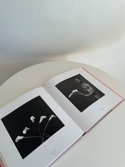 PISTILS BY ROBERT MAPPLETHORPE