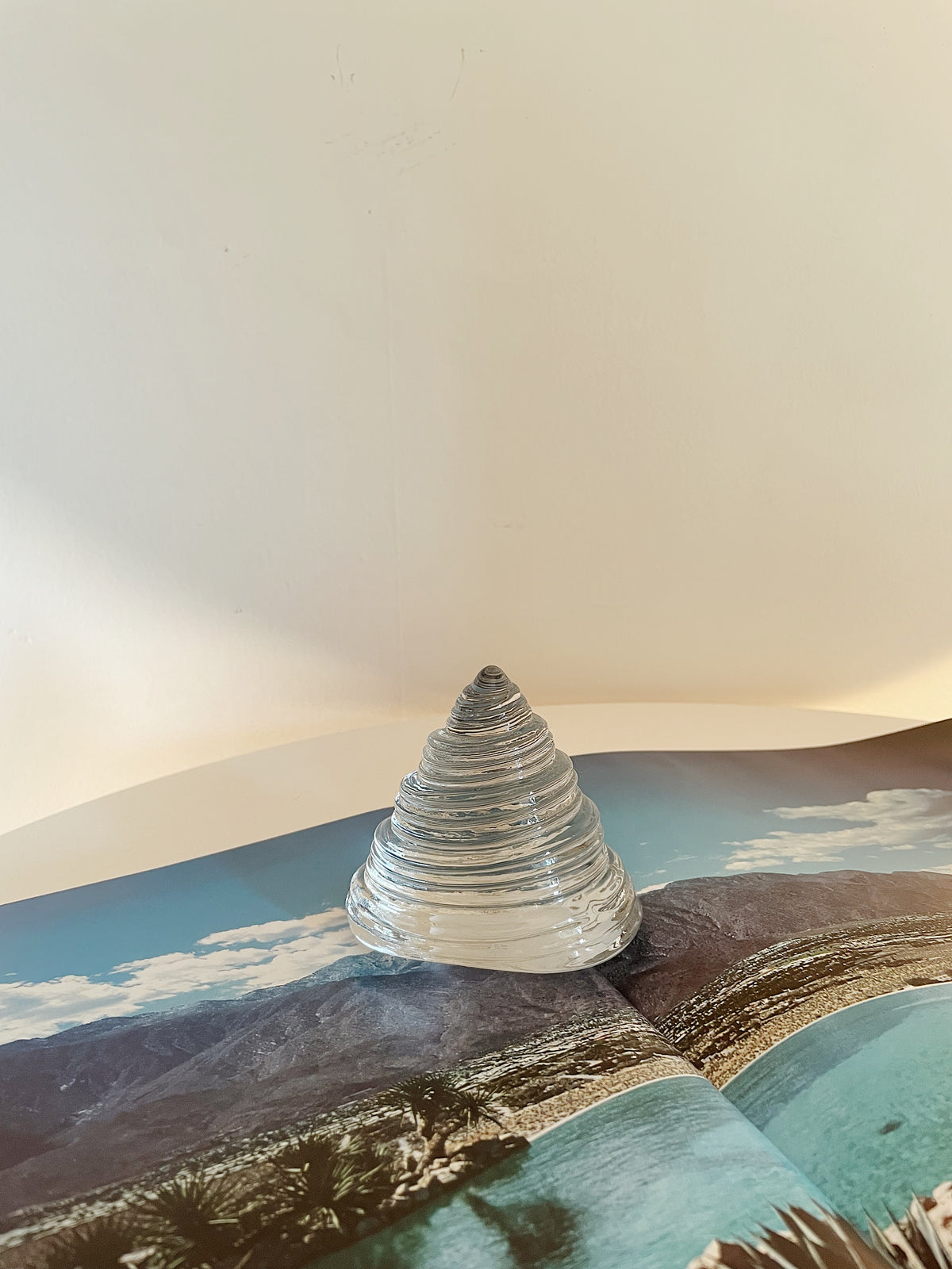 GLASS SHELL SCULPTURE