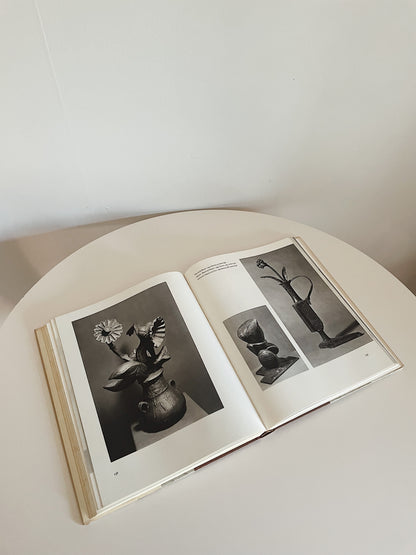 THE SCULPTURE OF PICASSO