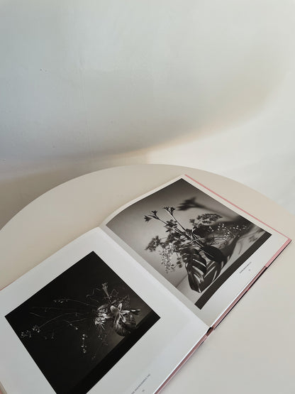 PISTILS BY ROBERT MAPPLETHORPE