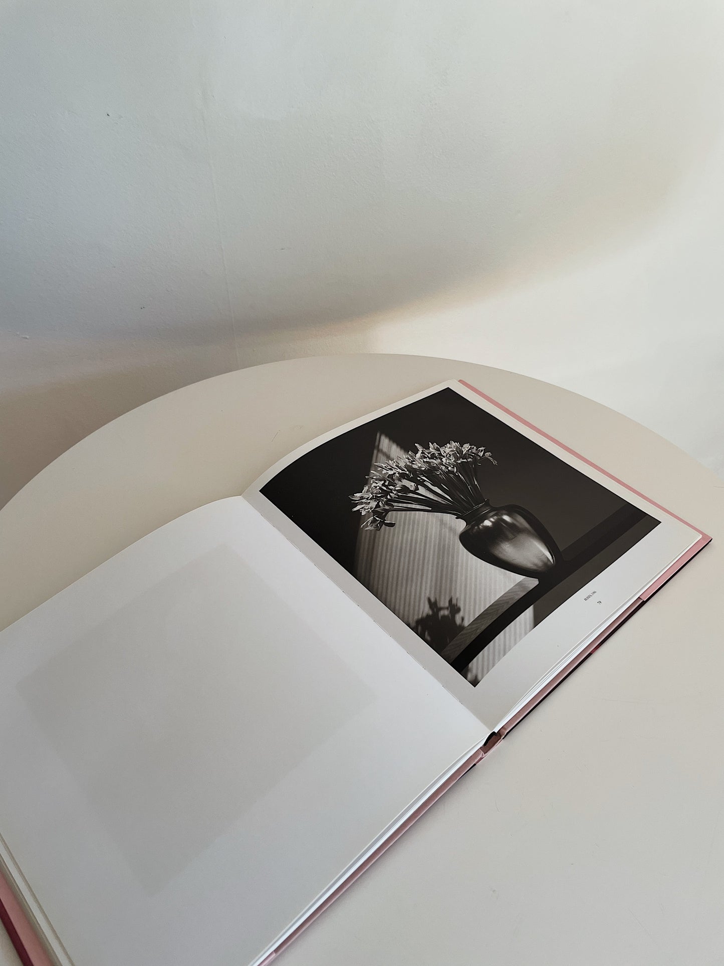 PISTILS BY ROBERT MAPPLETHORPE