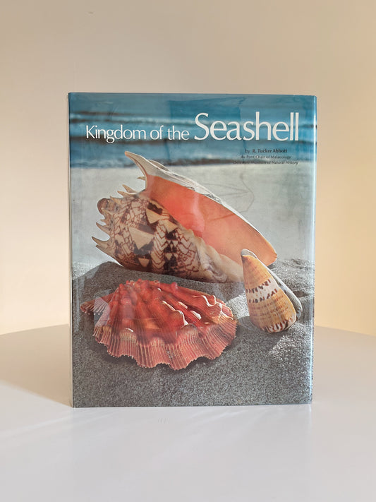 KINGDOM OF THE SEASHELL