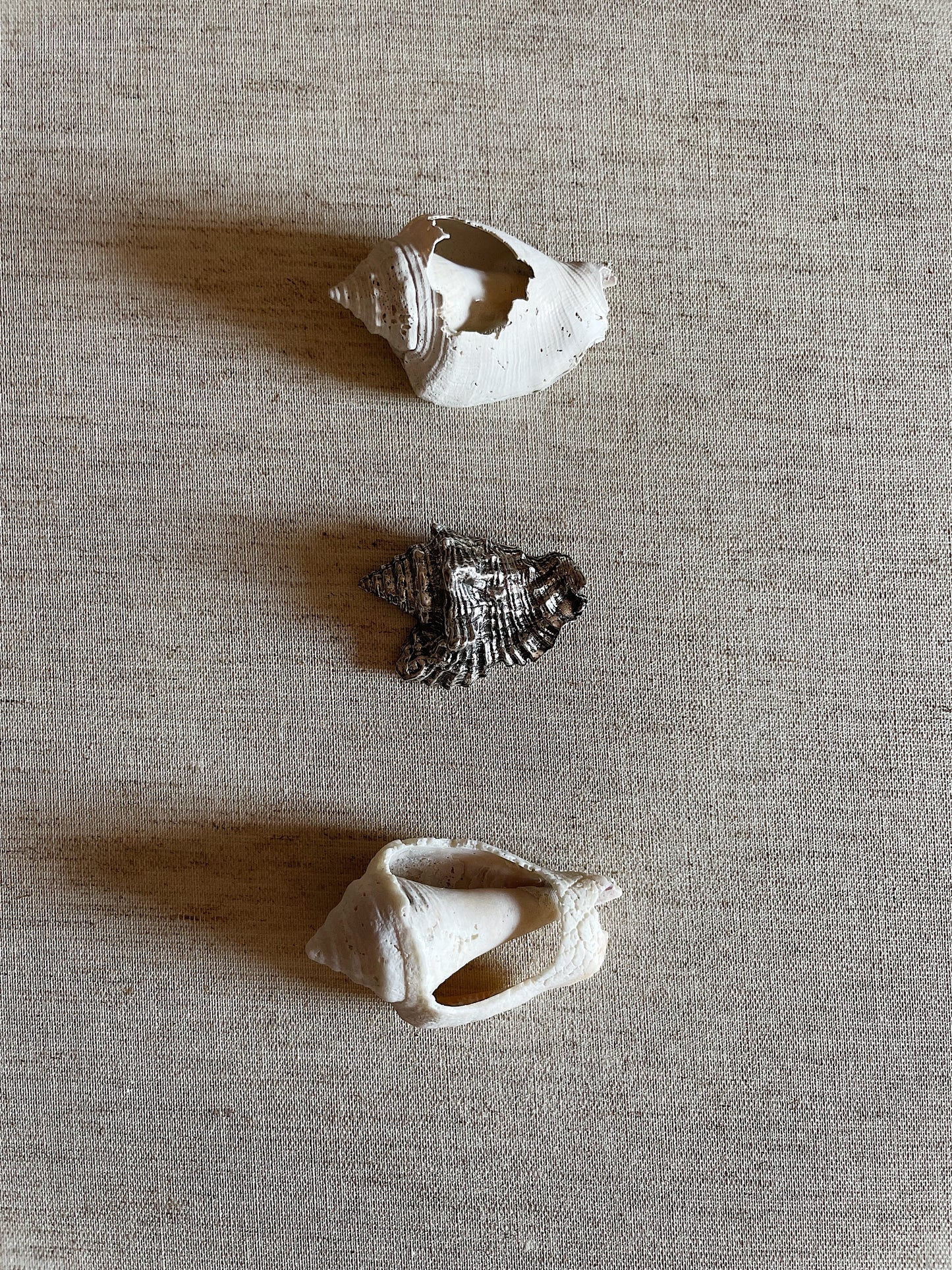 SILVER SHELL BROOCH